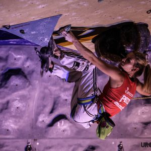 1401157_1388838341360526_1420564342_o